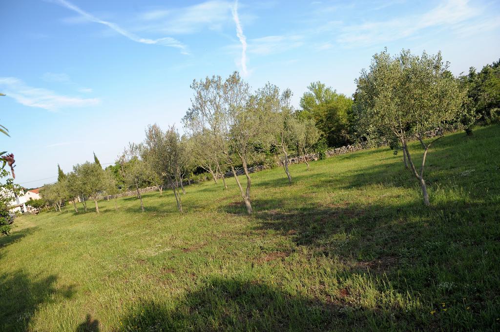 Holiday Home Dioniza Vodnjan Habitación foto